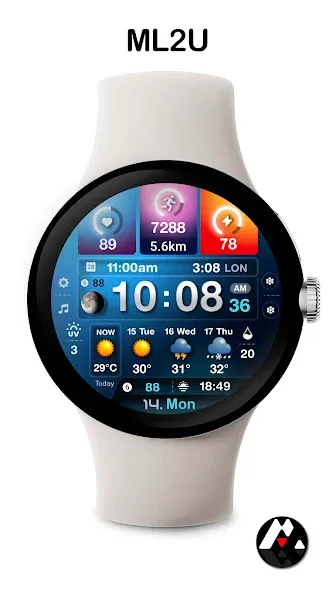ML2U 243 Watch Face screenshot 8