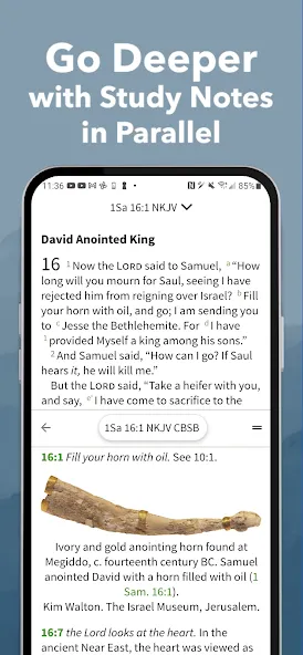 Message Bible by Olive Tree screenshot 2