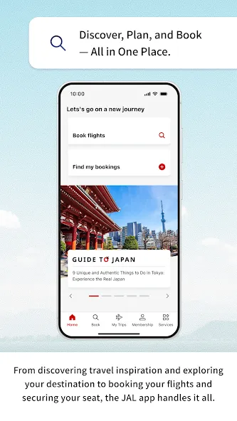 Japan Airlines screenshot 2