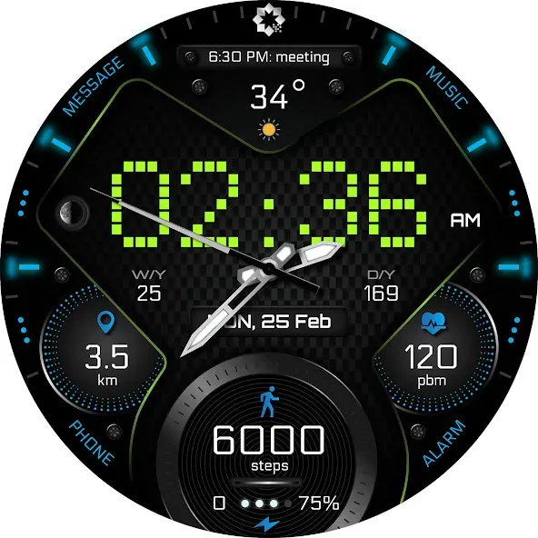 H355 Pixels Watch Face YOSASH screenshot 28