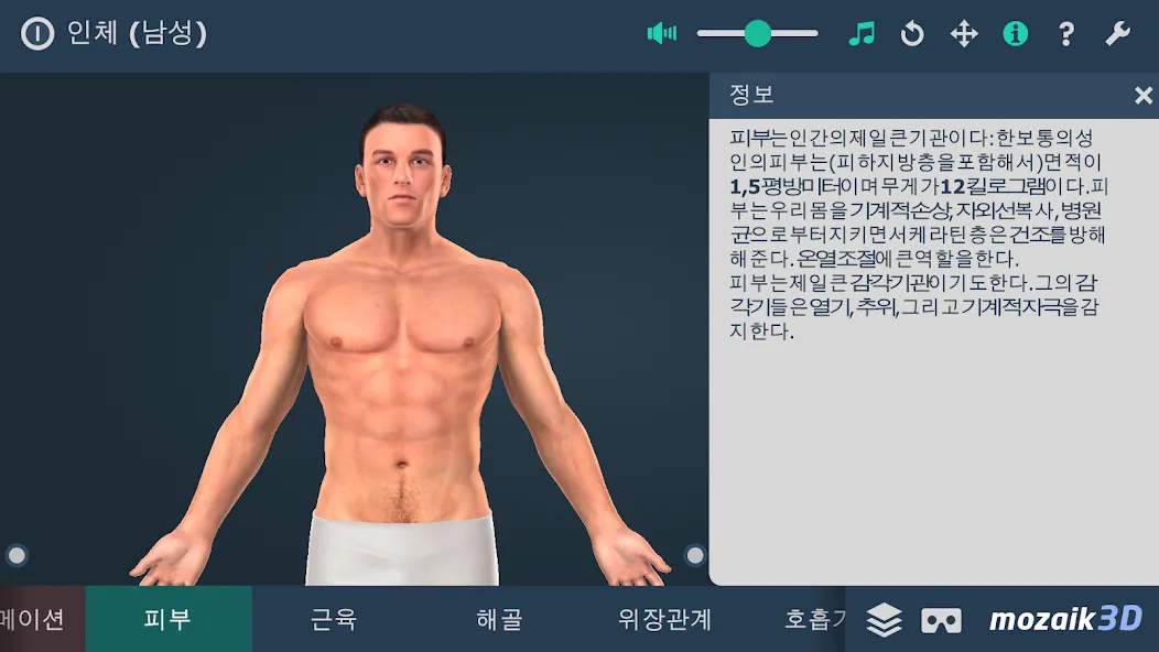 인체 (남성) screenshot 2