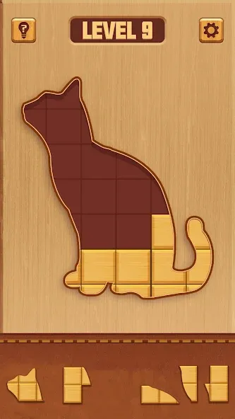 BlockPuz: Woody Block Puzzle screenshot 12