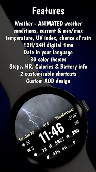 Weather Animated Pro screenshot 3