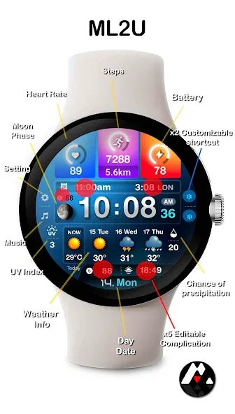 ML2U 243 Watch Face screenshot 2