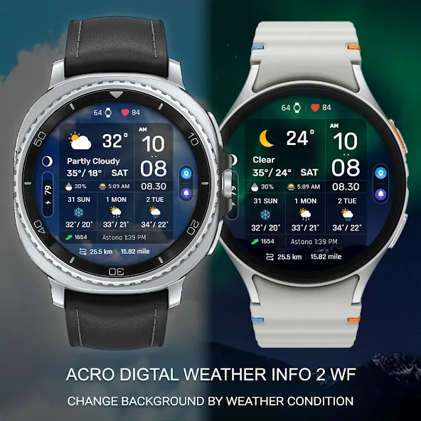 ACRO Digital Weather info2 WF screenshot 1