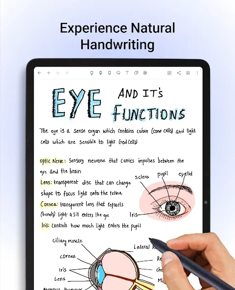 Noteshelf - Notes, Annotations screenshot 9