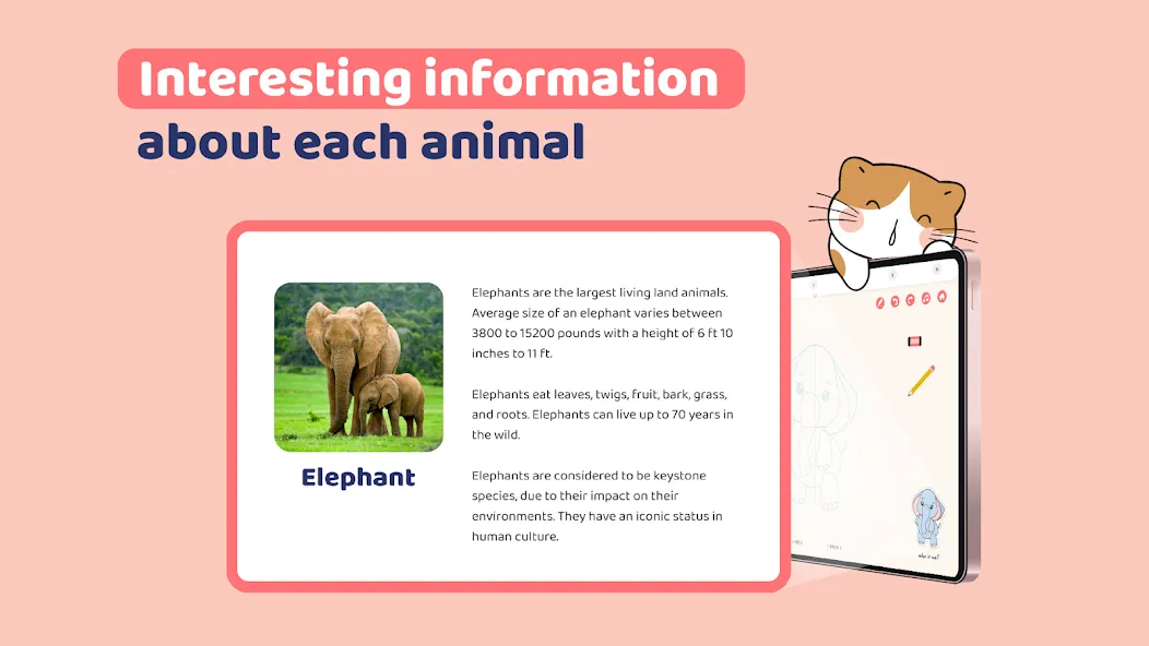 Easy Draw Animals screenshot 9