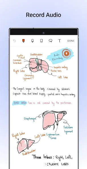 Noteshelf: Notas Digitais screenshot 4