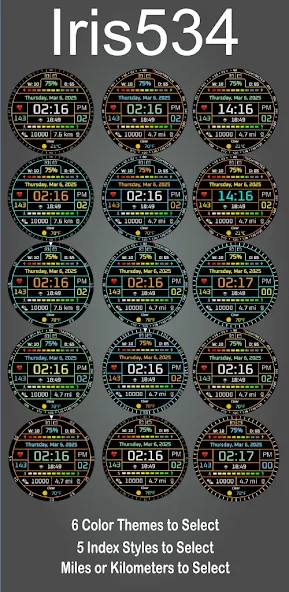 Multi Function Digital Iris534 screenshot 6