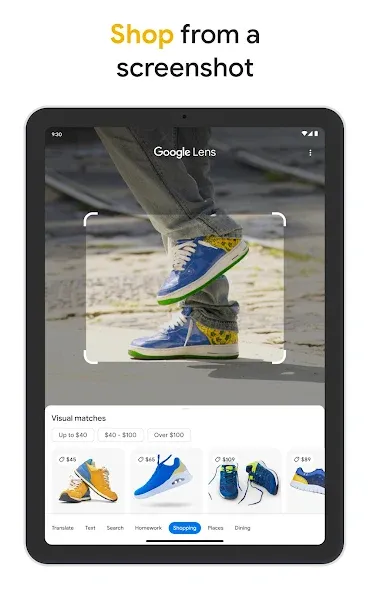 Google screenshot 9