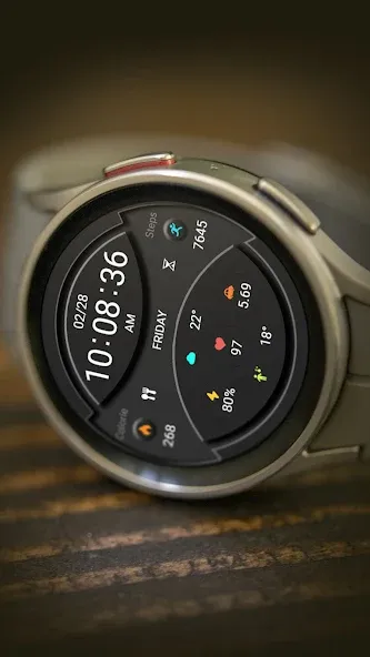 ZKin Watch Dark Gray Component screenshot 5