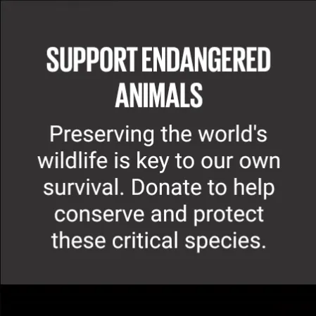 Samsung Global Goals screenshot 21
