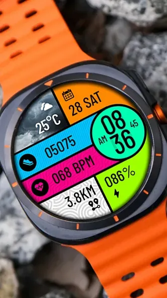 POLO Watch Face screenshot 1