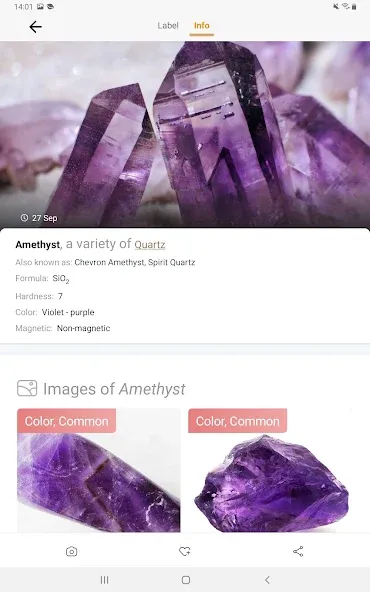 Rock Identifier: Stone ID screenshot 8