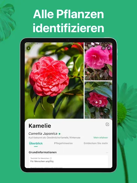 PictureThis:Pflanzen bestimmen screenshot 10