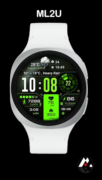 ML2U 134b Digital Hybrid screenshot 1
