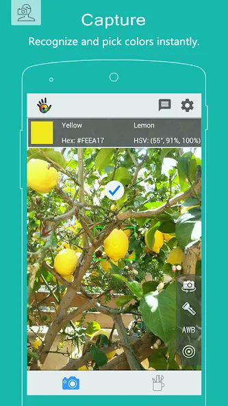 Color Grab (color detection) screenshot 1
