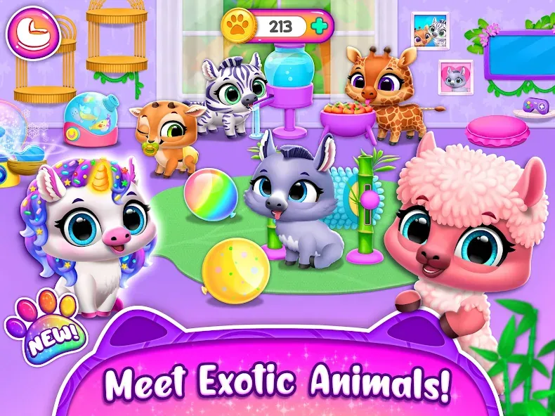 Jungle Floof - Island Pet Care screenshot 14