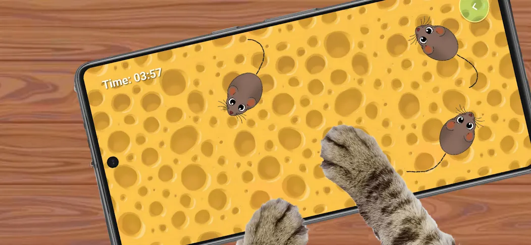 Cat Toy: Mouse Catching Game screenshot 1