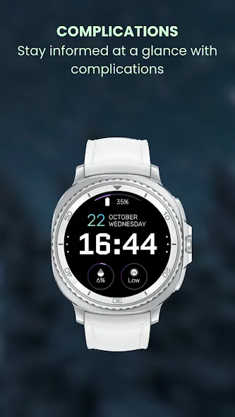 EXD187: Digital Winter Face screenshot 4