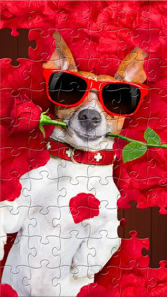 Entdecker der Puzzlespiele screenshot 4