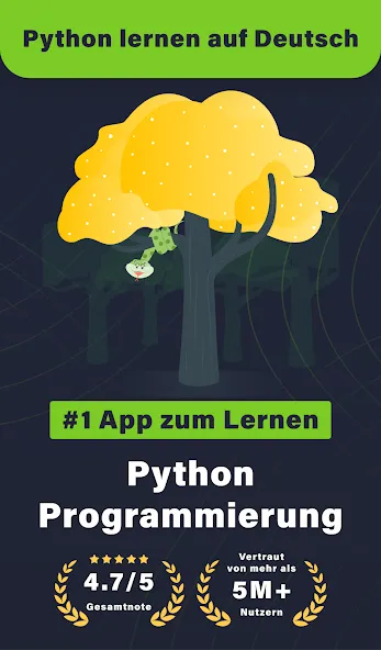 Python Lernen Programmieren screenshot 1