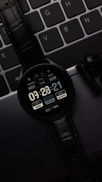 SG-155 screenshot 6