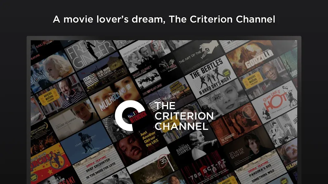The Criterion Channel screenshot 10