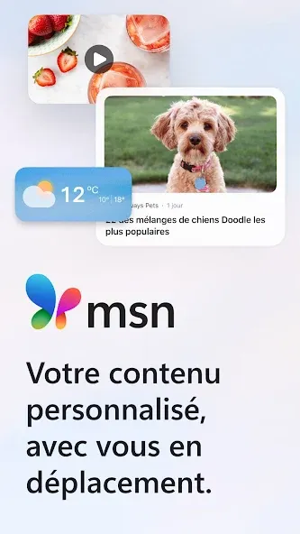 MSN screenshot 1
