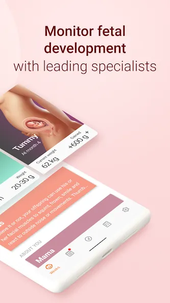Pregnancy and Due Date Tracker screenshot 2