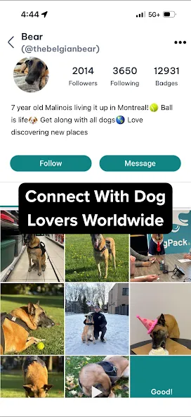 DogPack: Dog Friendly Spots screenshot 8