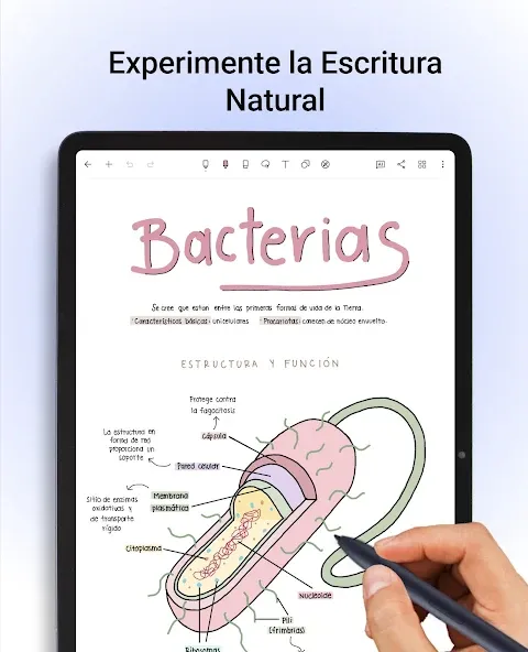 Noteshelf: Notas Digitais screenshot 15