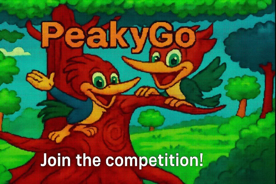 PeakyGo screenshot 1