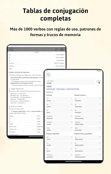 Español verbos y conjugaciones screenshot 19