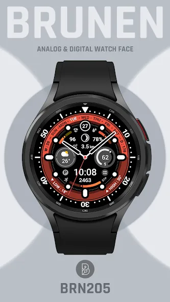 BRN205 : Watch Face screenshot 2
