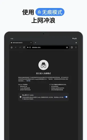 Google Chrome 浏览器 screenshot 22