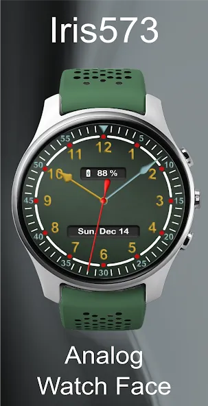 Iris573 Classic Analog Watch screenshot 20