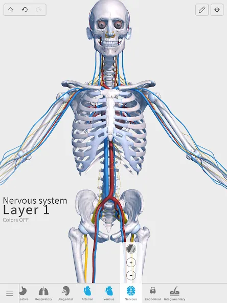 Visual Anatomy 3D - Human body screenshot 22