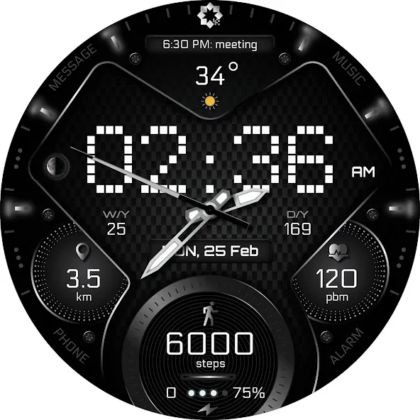 H355 Pixels Watch Face YOSASH screenshot 29