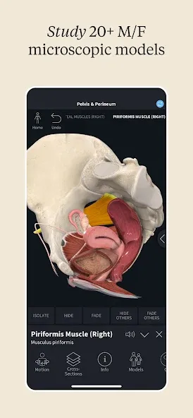 Complete Anatomy - Learn in 3D screenshot 4