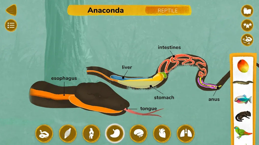 The Animals: Animal Kids Games screenshot 8