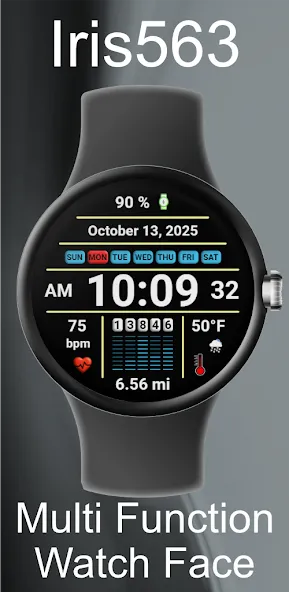 Iris563 Multi-Function Digital screenshot 1