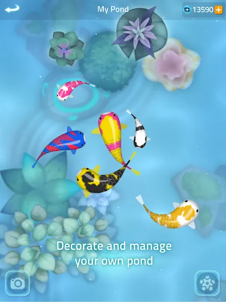 Zen Koi 2 screenshot 13