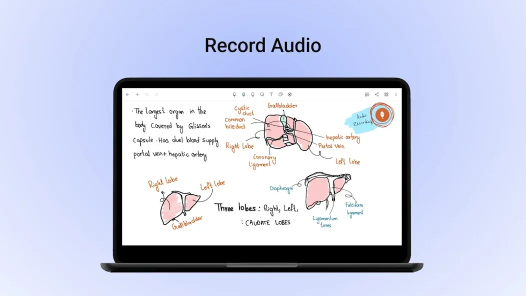 Noteshelf - Notes, Annotations screenshot 25