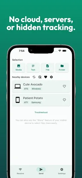 LocalSend: Transfer Files screenshot 2