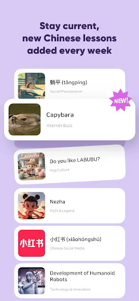 SuperChinese: Learn Chinese screenshot 8