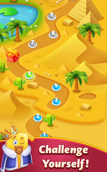 Shuffle Kings-card sort color screenshot 10