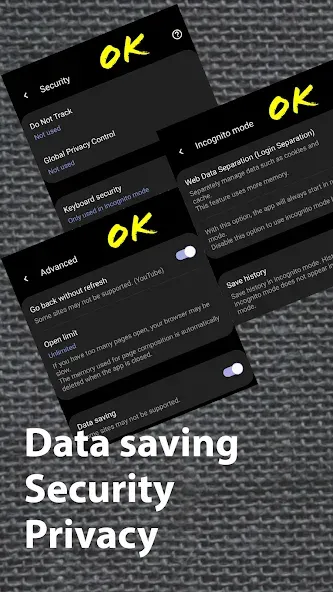 Soul Browser screenshot 8