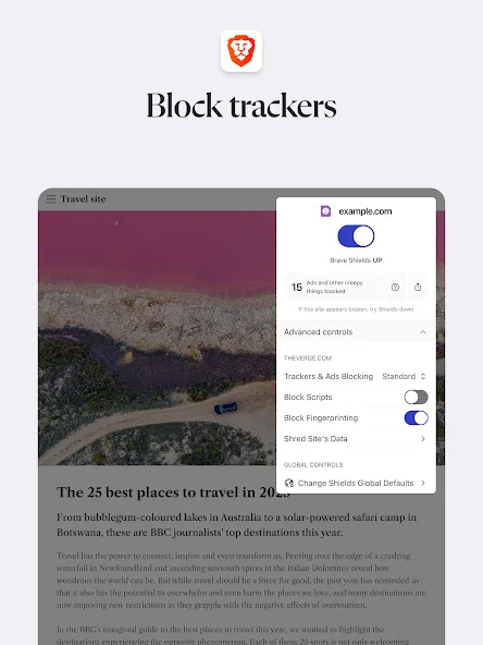 Brave Private Web Browser, VPN screenshot 12