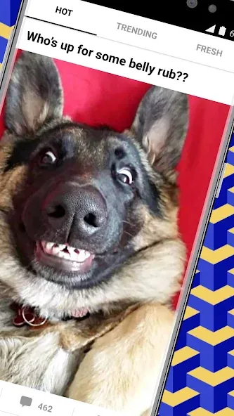 9GAG: Funny GIF, Meme & Video screenshot 2